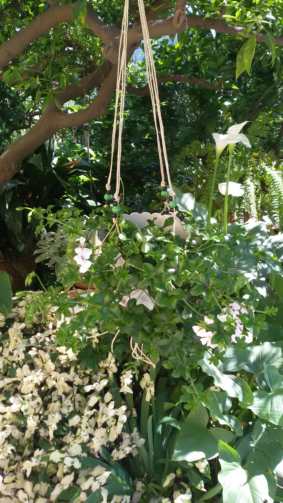 JNCH 5pz Vasi Portavasi Portafiori Da Appendere Con Gancio Vintage Metallo Fioriera Sospesa Decorativo Decorazione Giardino Balcone Casa - Foto 9