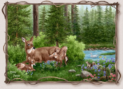 nature- beauty nature- beauty