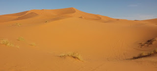 En dromedario por las dunas de Erg Chebbi.