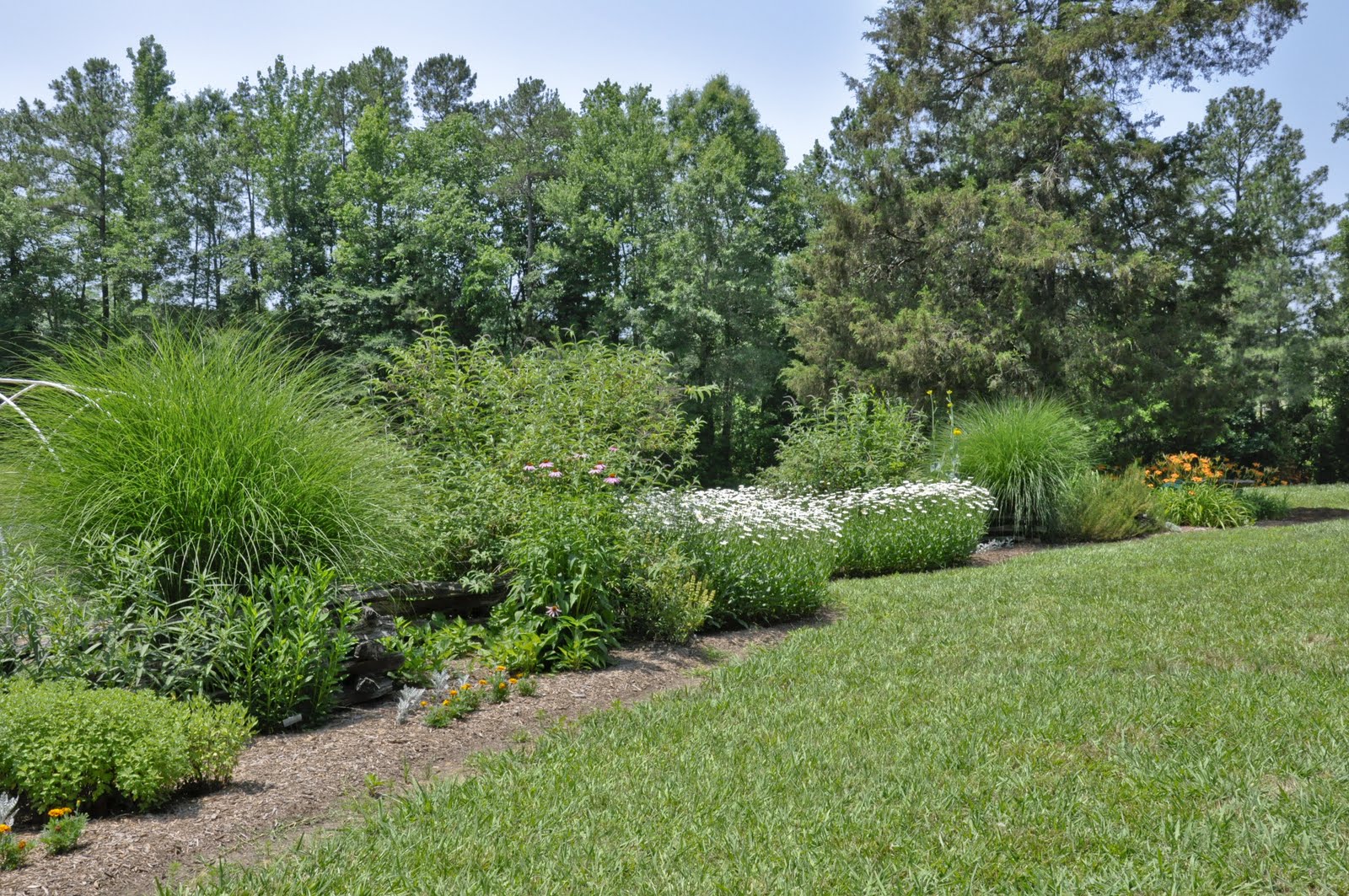 The Gardening Gallimaufry Fence Garden & Southern Sweet Tea Recipe
