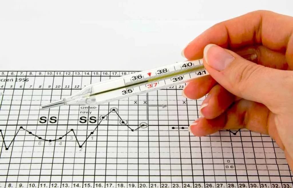Gráfico de temperatura corporal basal (TCB) - tudo que você precisa saber