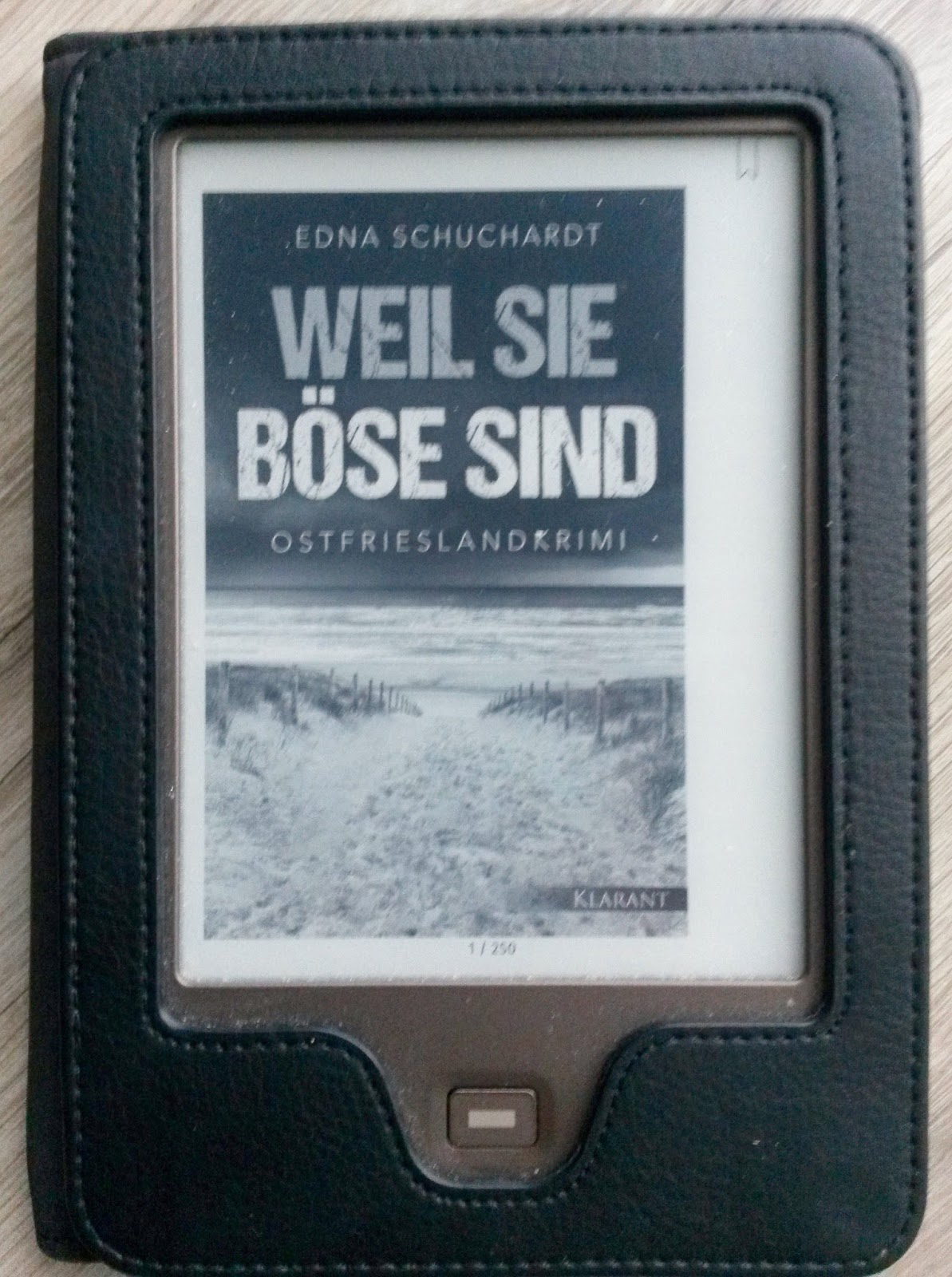 buchleben Mach dir keine Feinde in "Weil sie böse sind" von Edna Schuchardt