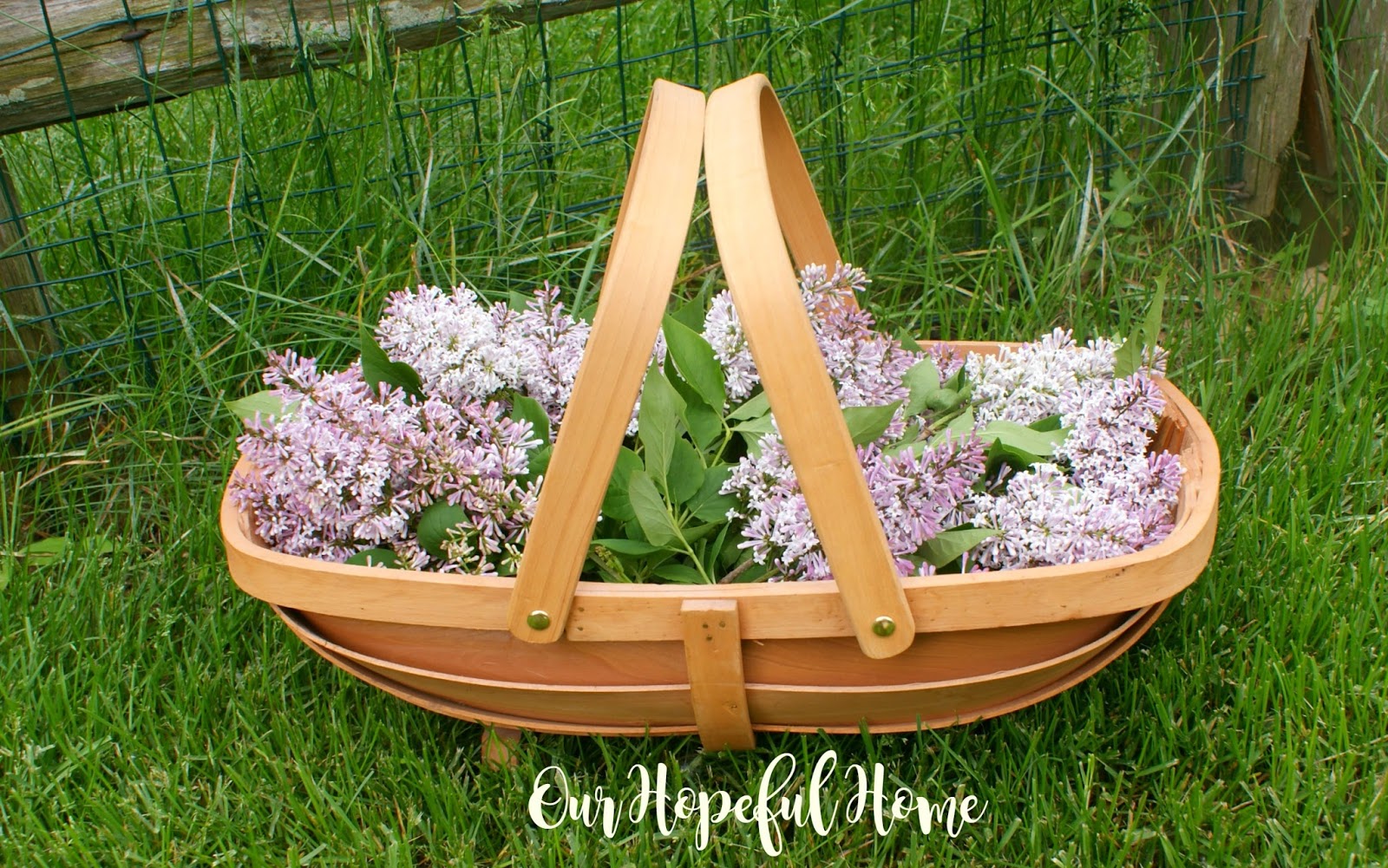 our hopeful home: easy farmhouse decor: garden trugs our hopeful home: easy farmhouse decor: garden trugs