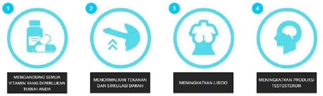 Obat lemah syahwat dan kuat tahan lama Obat lemah syahwat dan kuat tahan lama