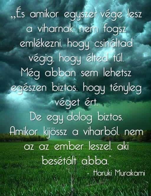 miért nevezik viharnak pinworms lomper adag