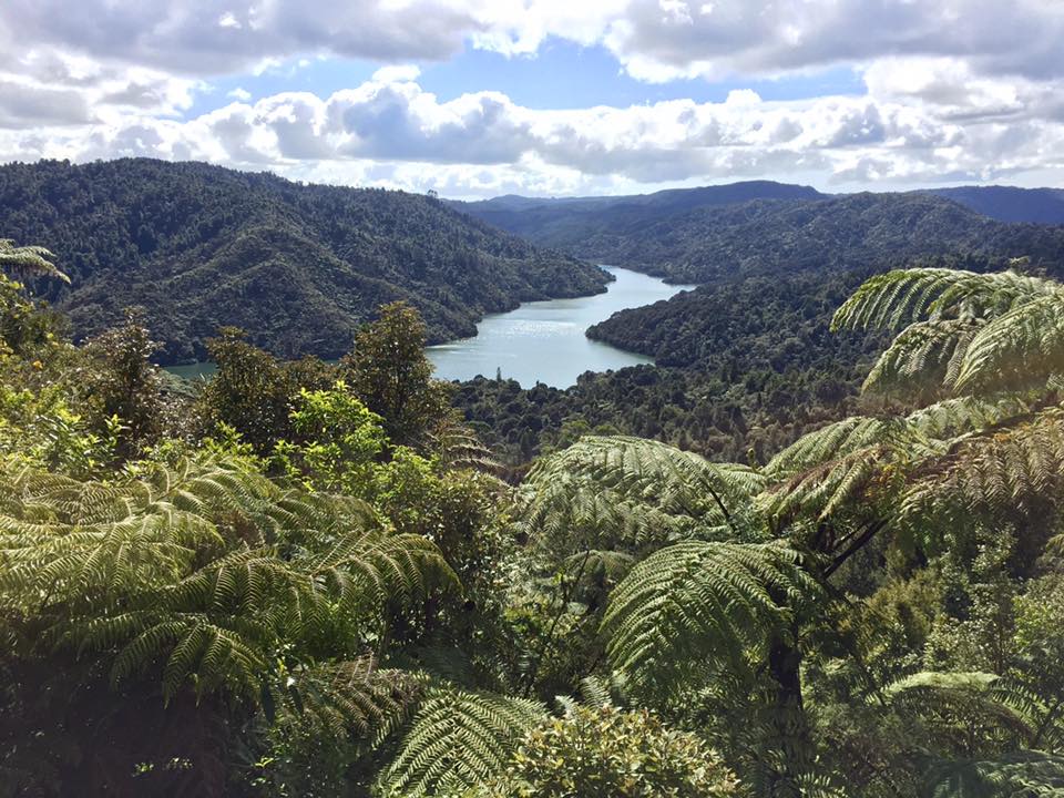 Vegetal Jardins De Pan Jardinier Paysagiste A St Brieuc En