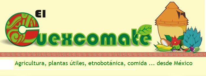 Blog "El Cuexcomate"