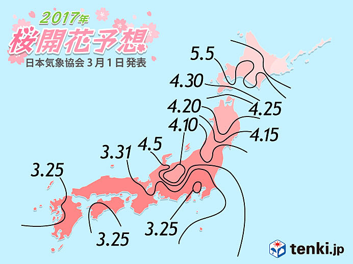 Japan Backpackers Express Blossom forecast