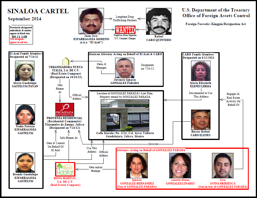 Medellin Cartel Structure
