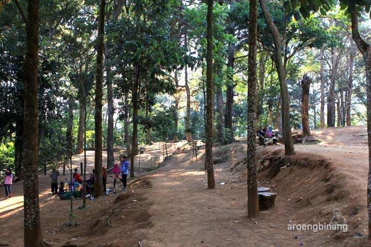 bumi perkemahan wana wisata kajar kudus