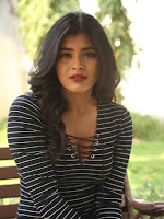 Hebah Patel sizzling at Nanna Nenu Naa Boyfriends-cover-photo