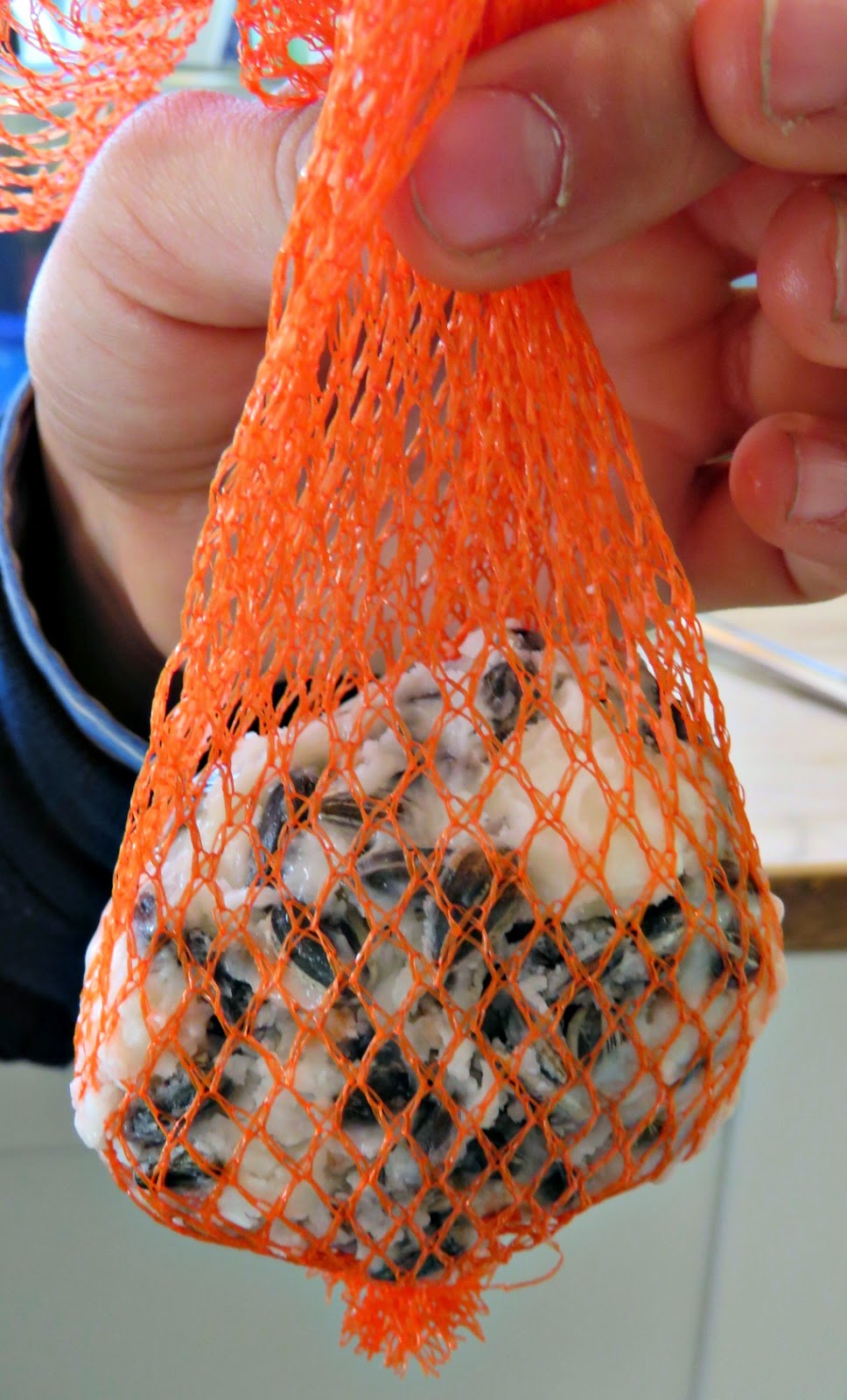 just saying Homemade fat balls yummy (if you're a bird)