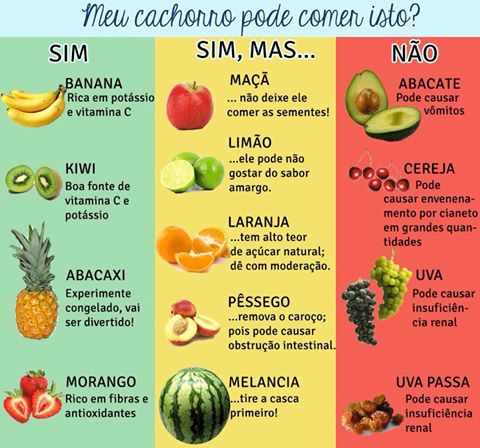 comida echar carnes cachorro