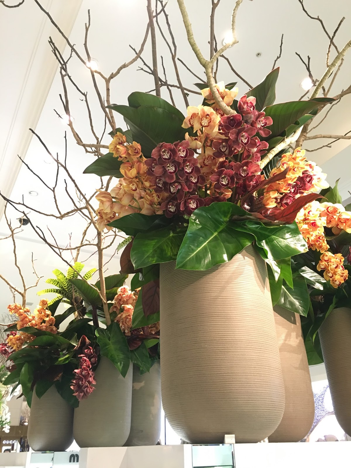 Urban Flower David Jones Sydney 2016 Flower Show