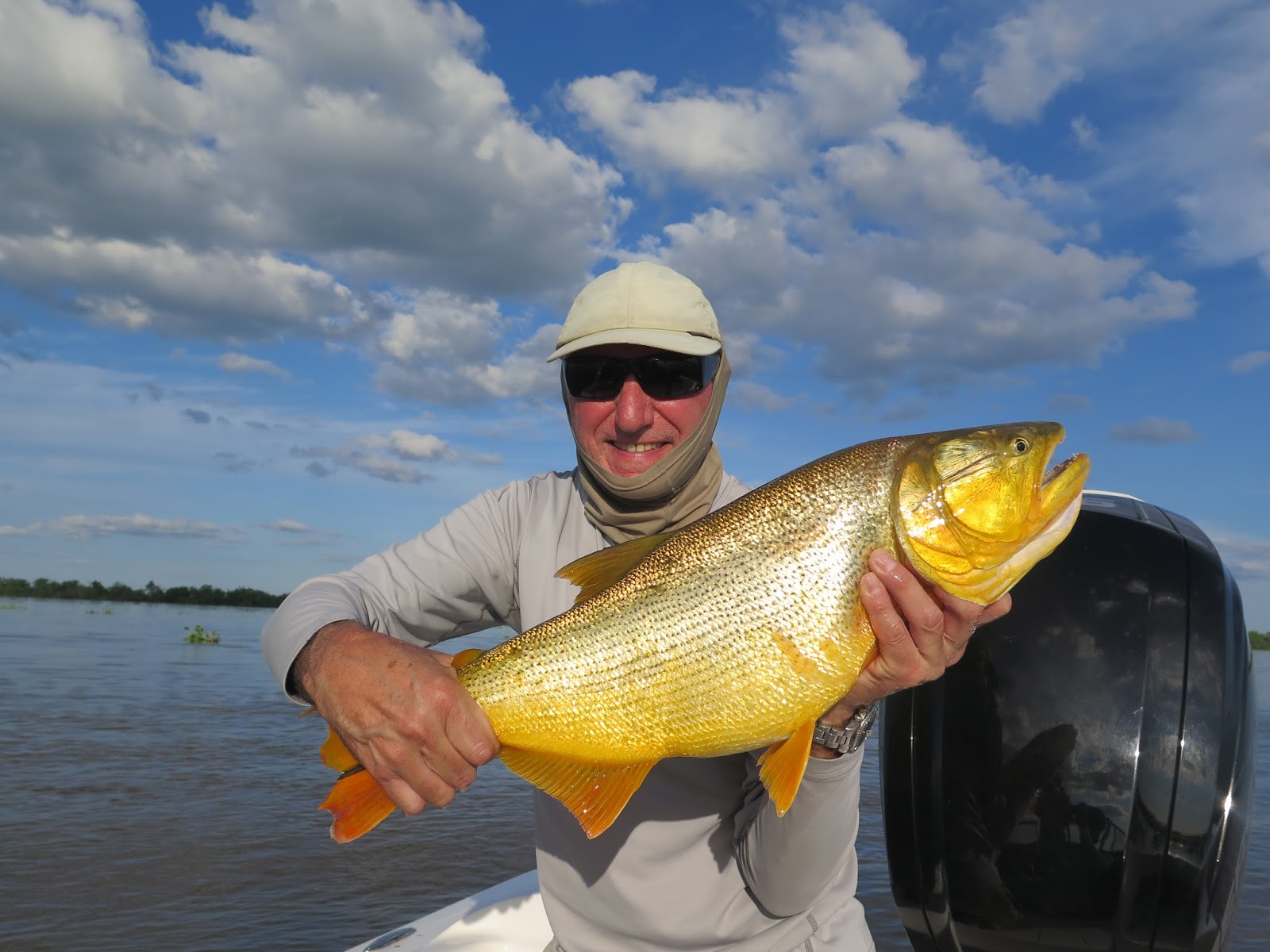 First Cast Fly Fishing Golden Dorado Argentina Buenos Aires Guided