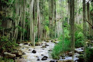 turismo verde parque nacionales turismo verde parque nacionales