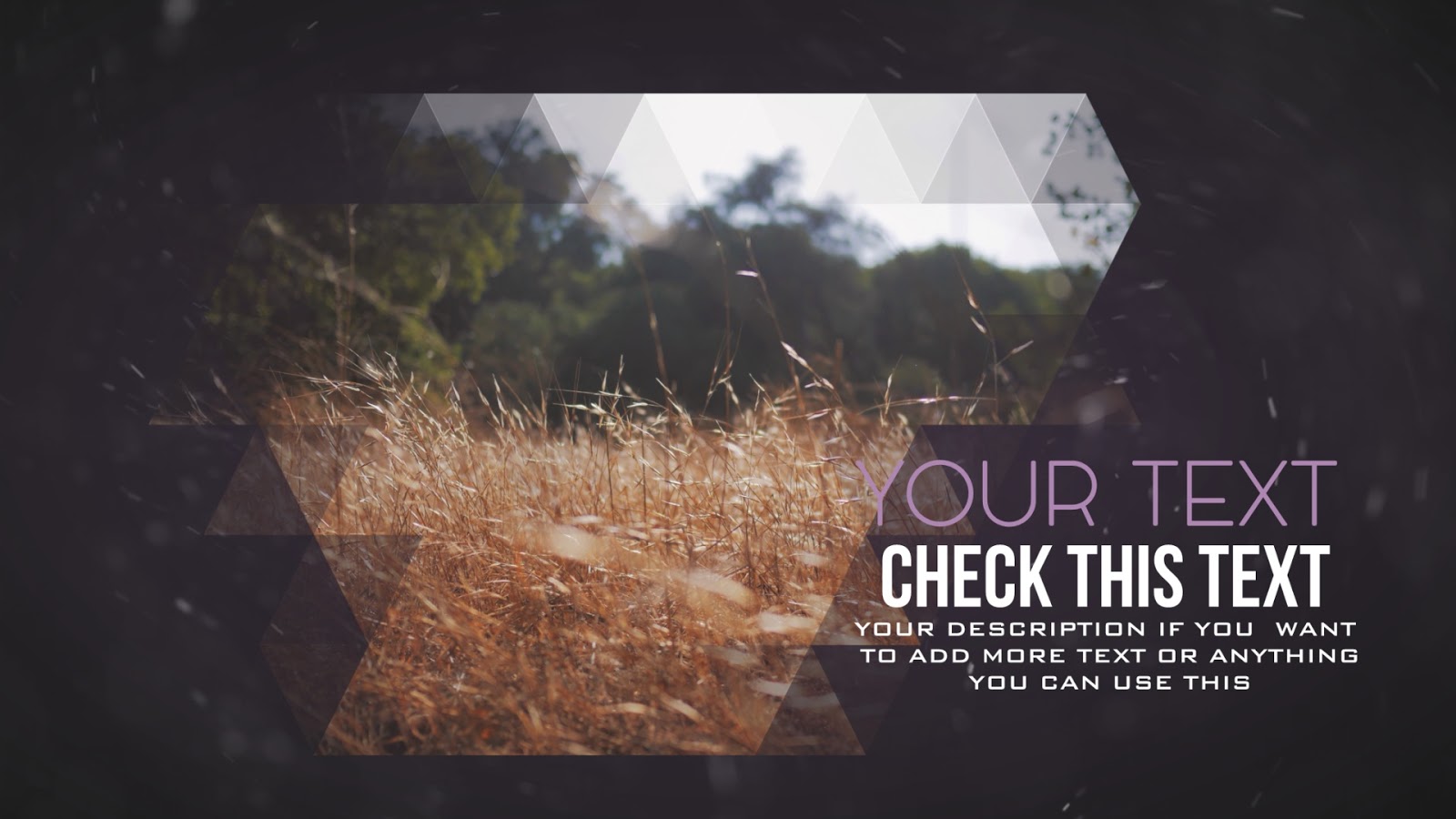 template media triangle slideshow sony vegas 12 13 ~ shock prod template media triangle slideshow sony vegas 12 13 ~ shock prod, Presentation templates