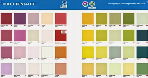41 Katalog Warna Cat Spider