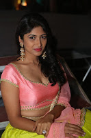 HeyAndhra Roshini at Saptagiri Express Audio Launch HeyAndhra.com