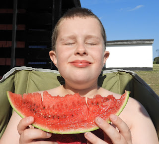 big slice of watermelon in sunshine