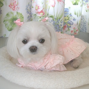 She is
                        Georgeous