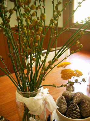 crocosmia seed pods at the createaerie