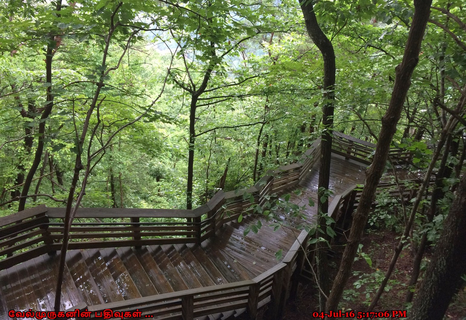 New River Bridge WV Exploring My Life