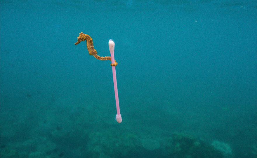 A Striking National Geographic Campaign Uses Shocking Pictures To Raise Awareness About Inconsiderate Usage Of Plastic