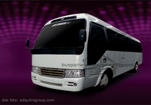 Pariwisata Banyuwangi Berkembang Pesat: Peran Vital Bus Pariwisata dalam Menunjang Kemajuan Sektor Wisata