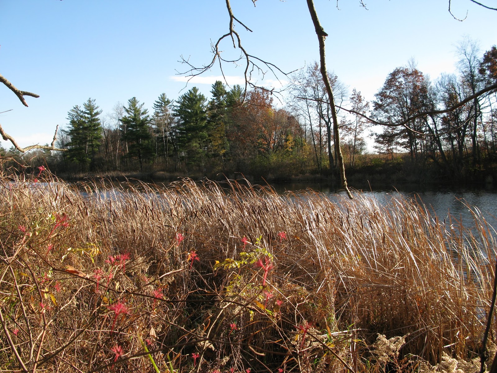 meo my crochet Dorchester Mill Pond