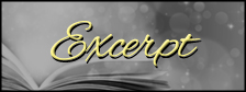 excerpt banner