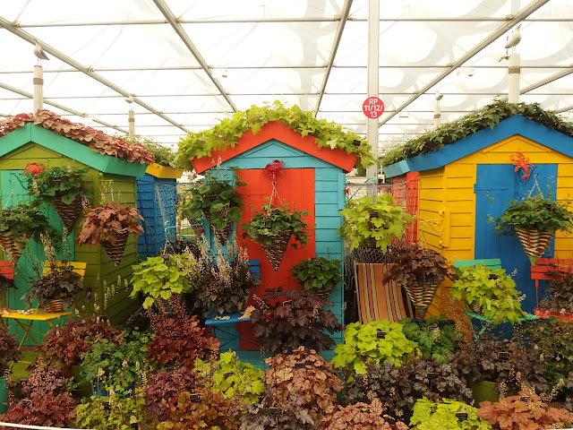 Heucheraholics Haven at Chelsea Flower Show Heucheraholics Haven at Chelsea Flower Show