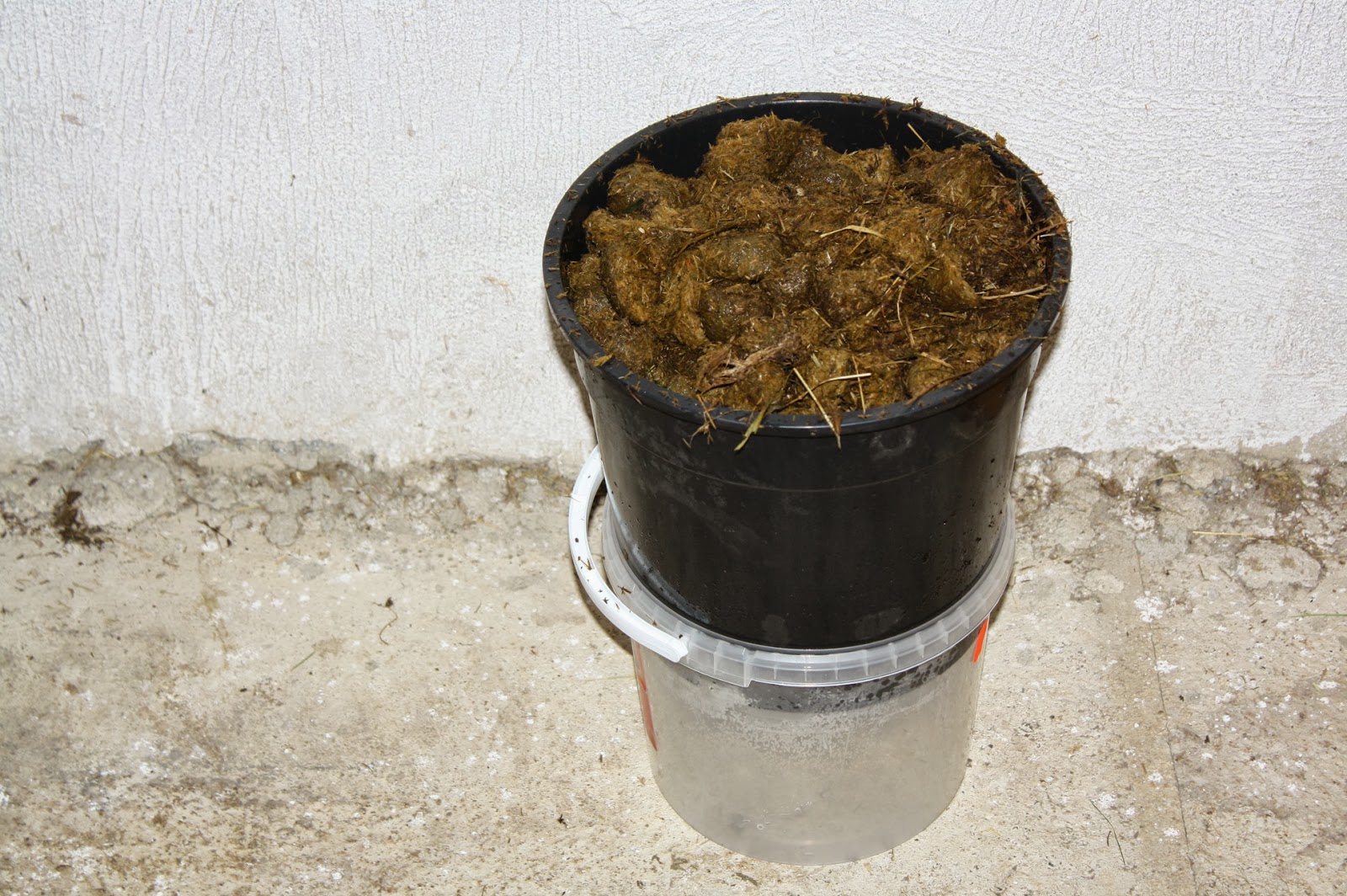 Mulesaw The horse dung experiment