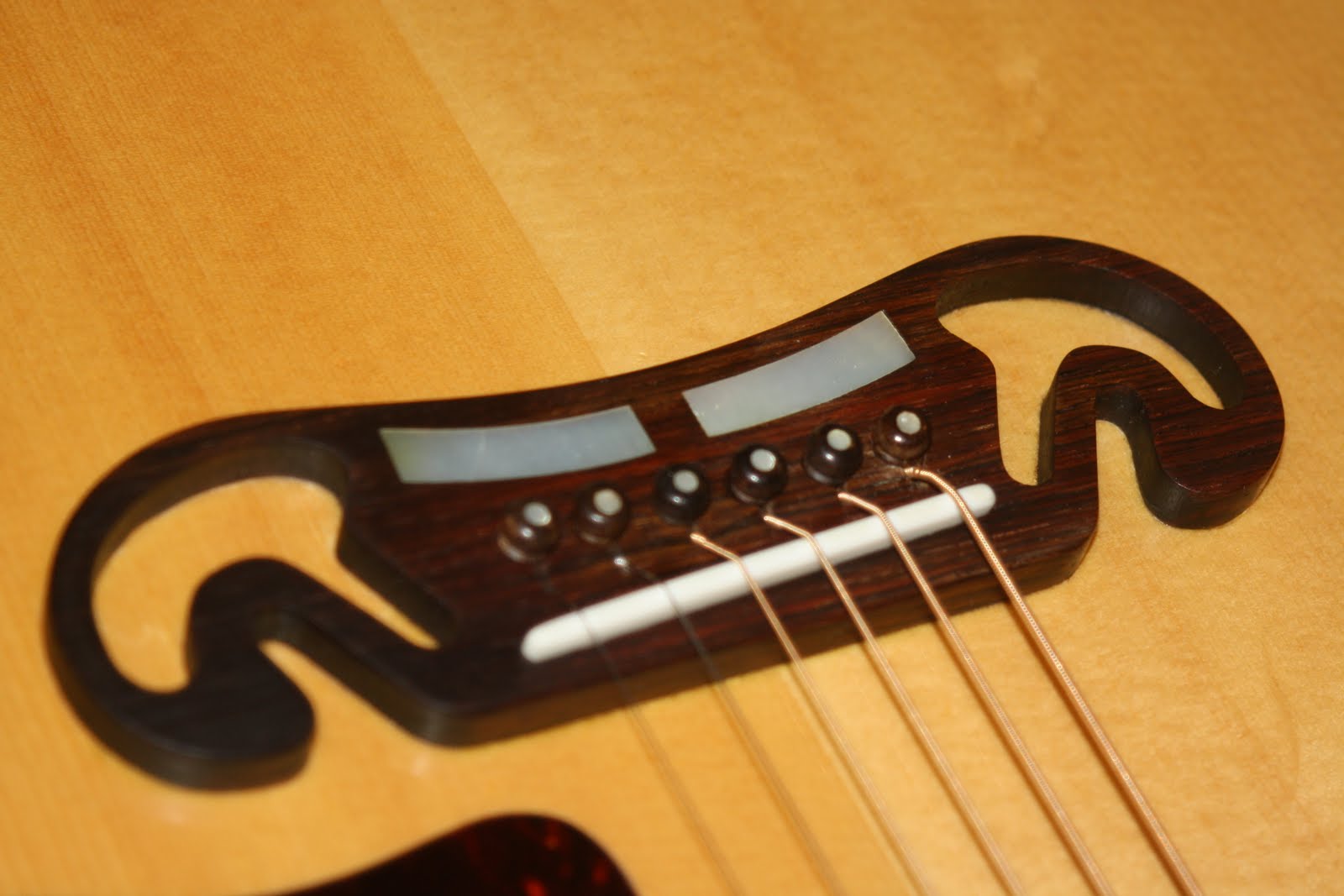 Rigaud Guitars Blog Custom Guitars by Rigaud Guitars