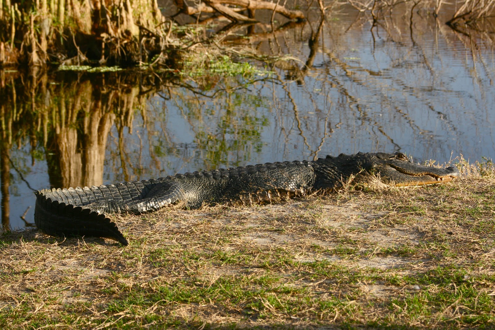 just the two of us Don't to run zigzag. {winner}