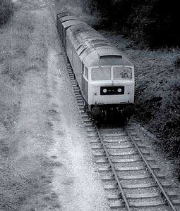 Armaments train at Oakdene Woods