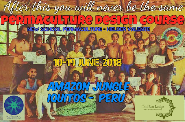http://sublimart.blogspot.com/2018/03/new-school-permaculture-design-course.html