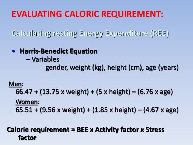 What Is My REE aka Resting Energy Expenditure