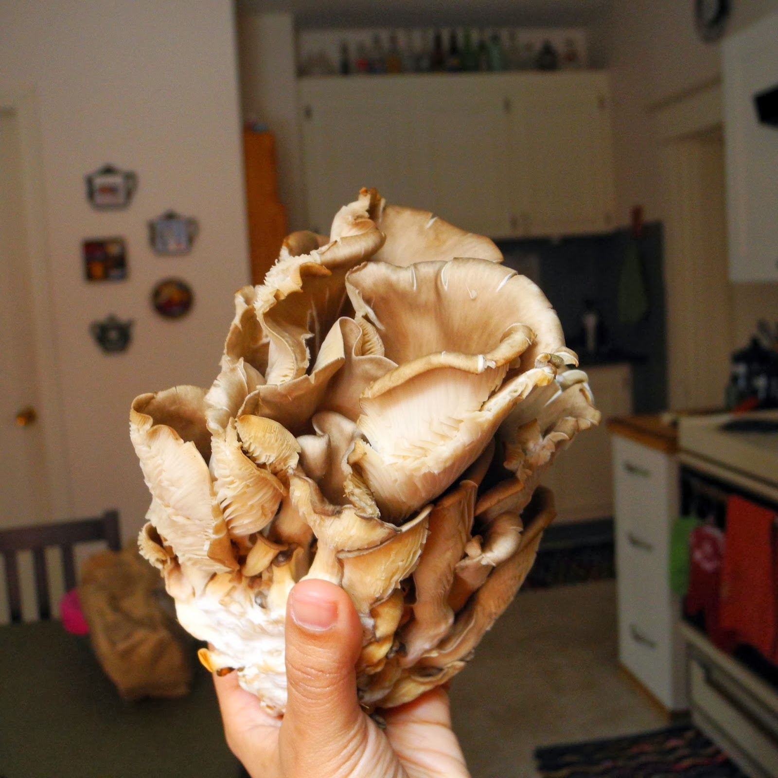 Lin Making Things Miso udon a warm and hearty noodle soup, Japanese
