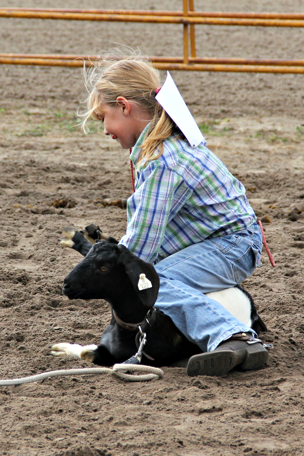 A Rodeo Family Burwell Jr. Rodeo