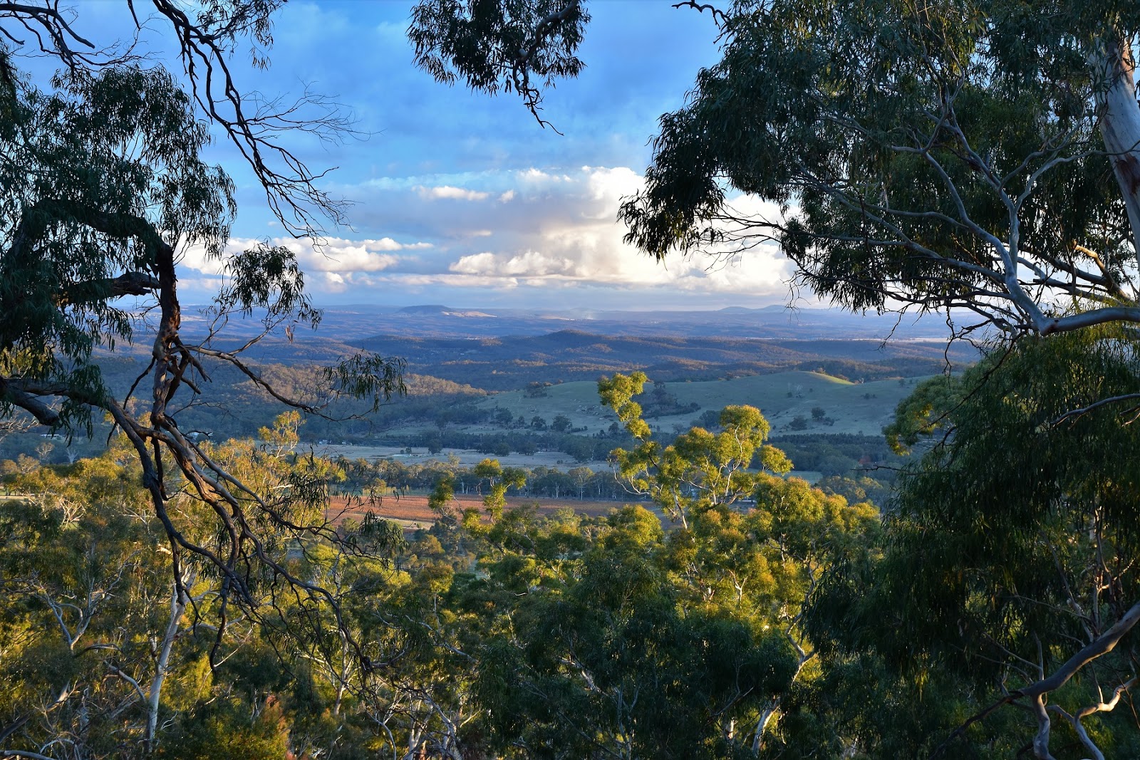 Goin' Feral One Day At A Time Mt Alexander, Mt Alexander Regional Park May 2018