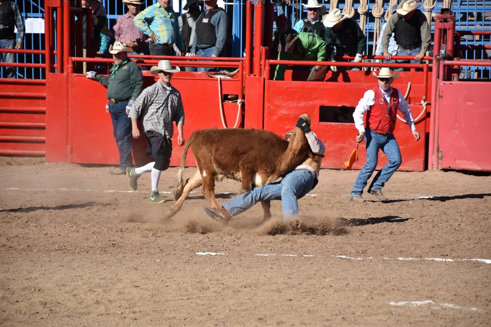 Ongoing Airstream Travels Rodeo in Phoenix