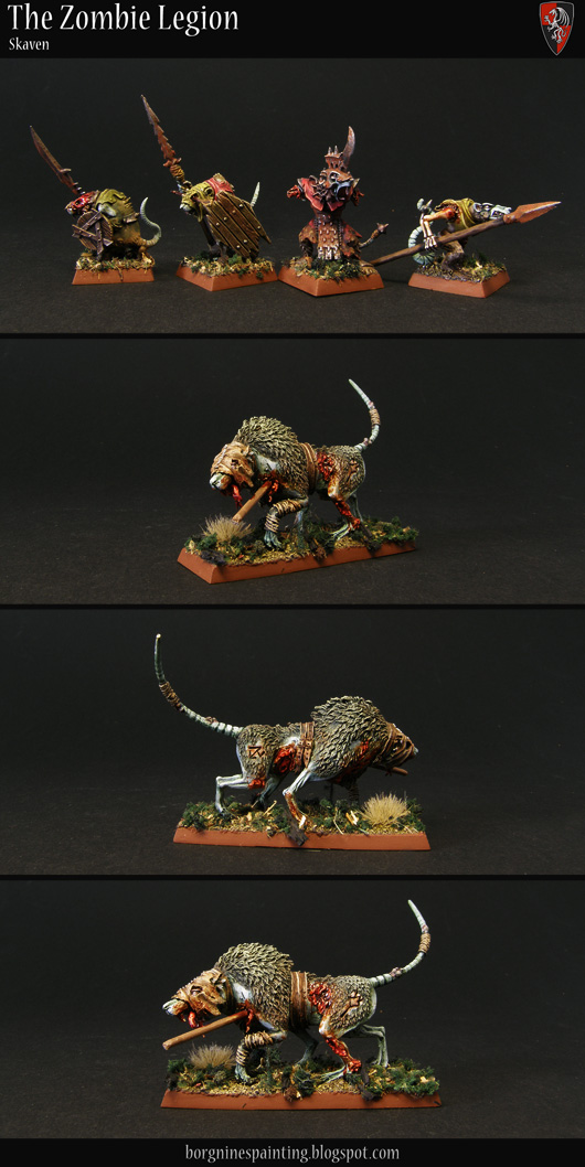 Several Skaven miniatures from WFB / AoS converted to be used as unit fillers in a Zombie unit. On the top picture there are several clanrats and an armless Stormvermin, while lower there are several photos of a zombified wolf-rat from Forge World.