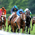 Mercredi 1er avril 2020 - Quinté à Sha Tin (Hong Kong) /Autres courses