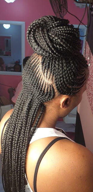 ✘ 33 Fulani Tribal Braids Ponytail Hairstyles for Black Hair In Style 2020 Thinking about trying a brand new hair color ✘ 33 Fulani Tribal Braids Ponytail Hairstyles for Black Hair In Style 2020