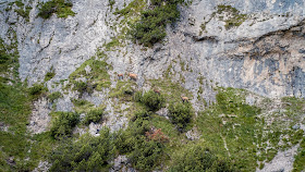 Königsetappe – Austria-Sinabell-Klettersteig und Silberkarsee  Wandern in Ramsau am Dachstein 15