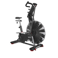 Schwinn AD Pro Airdyne Exercise Bike, review features compared with Schwinn AD6