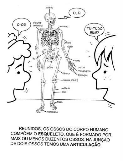 Professora Régi Costa Corpo Humano