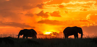 11 Sunsets Paling Cantik Dunia Di Akhir Tahun 2015 destinasi
