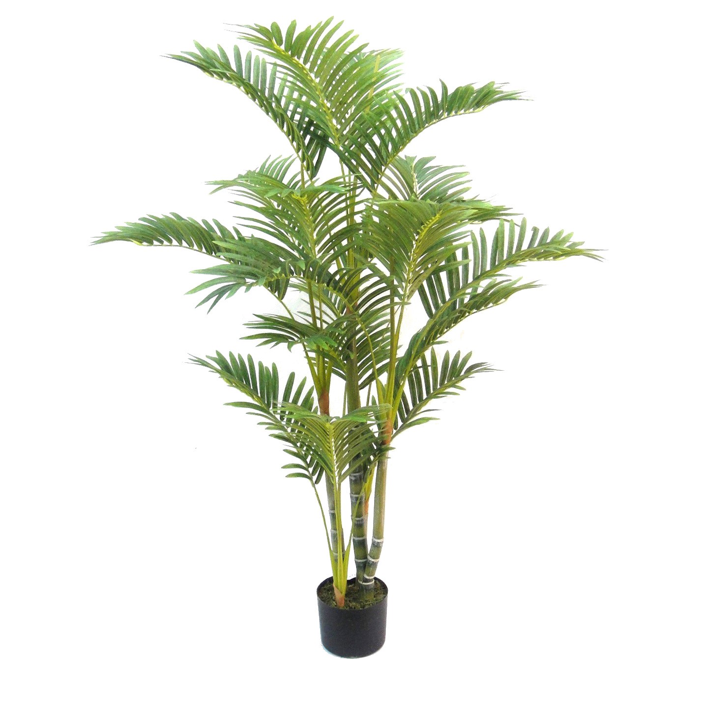 JT IRREGULARS Needed 4 ft. tall artificial trees or plants